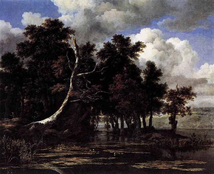 Jacob Isaacksz. van Ruisdael Oaks by a Lake with Waterlilies china oil painting image